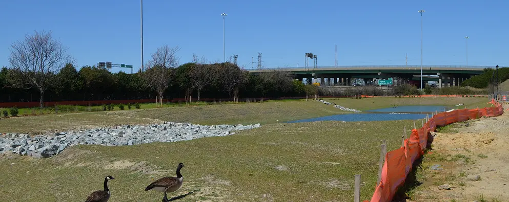 Construction site with geese